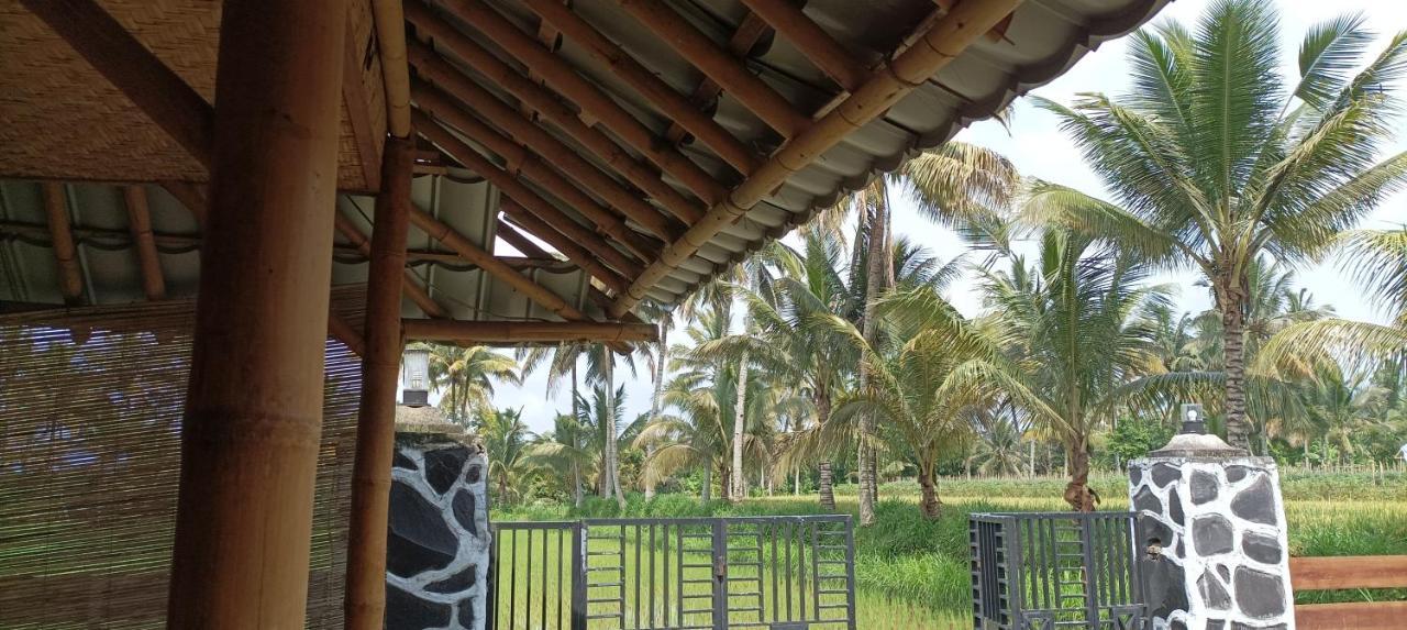 Mysha Guest House-Lombok Tetebatu Exterior photo
