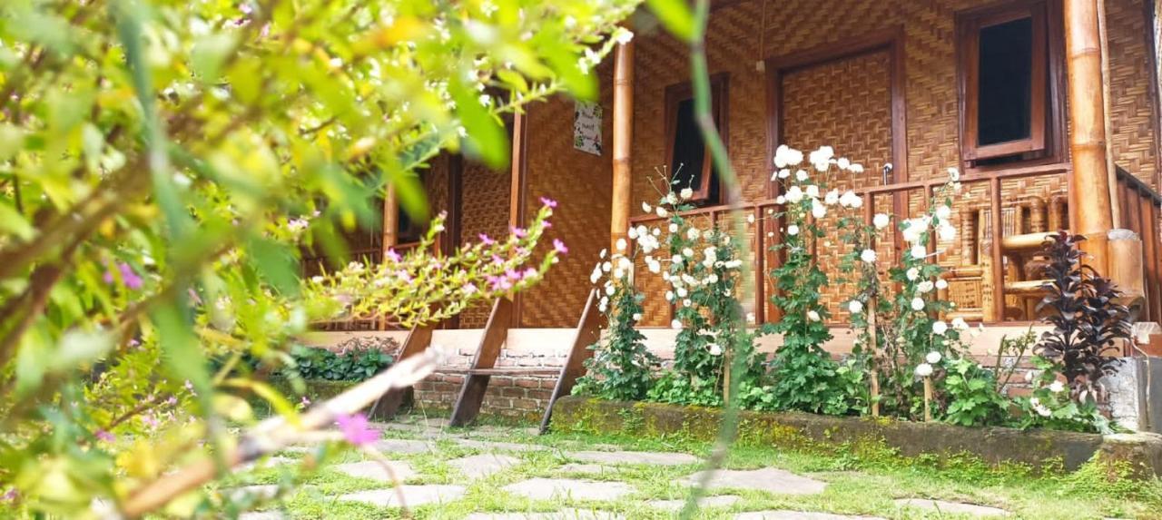 Mysha Guest House-Lombok Tetebatu Exterior photo