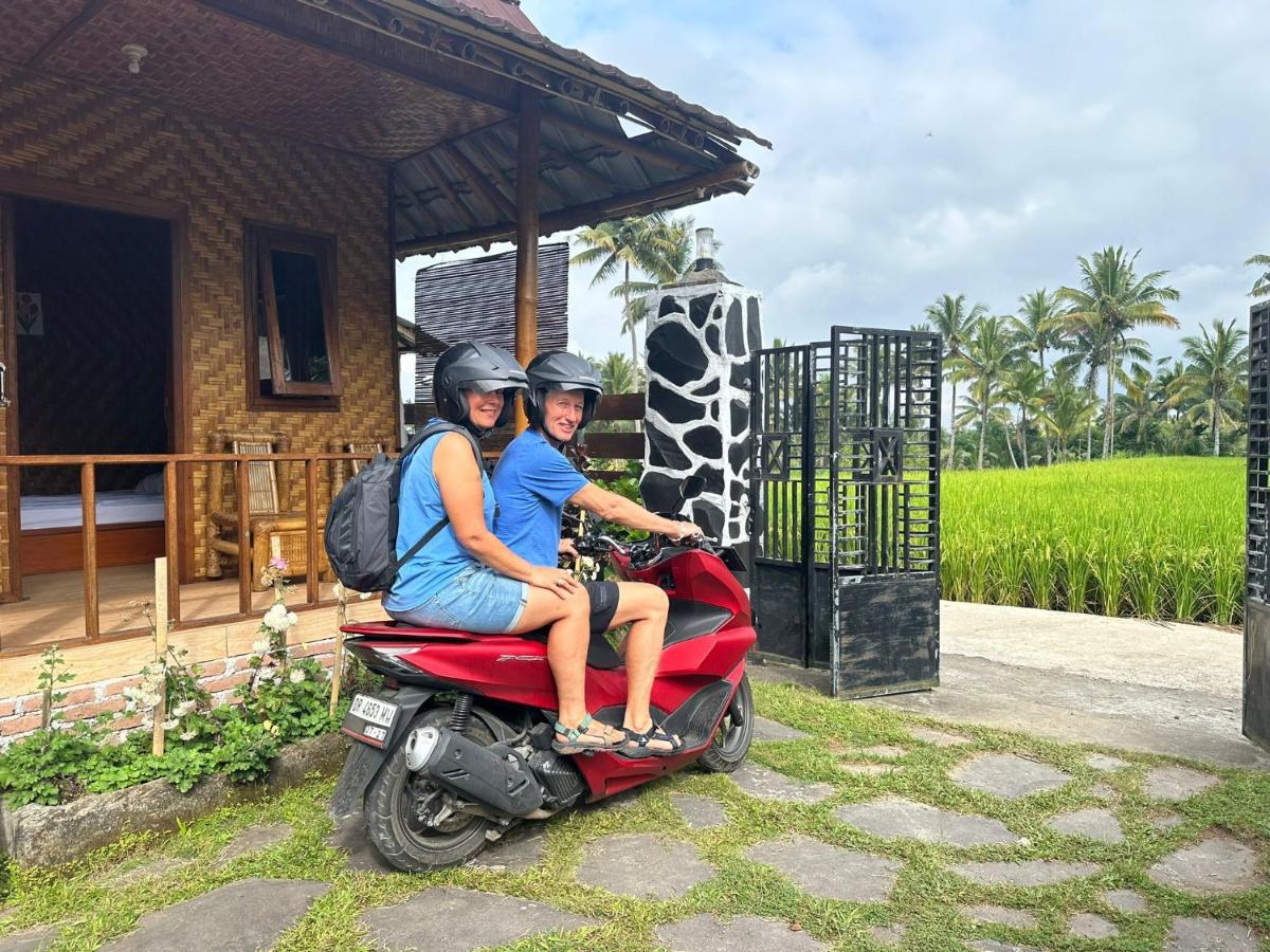 Mysha Guest House-Lombok Tetebatu Exterior photo